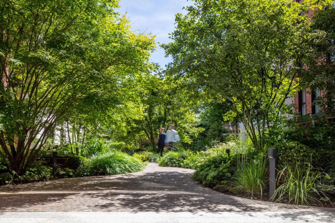 Green planted courtyard at Holland Park Villas