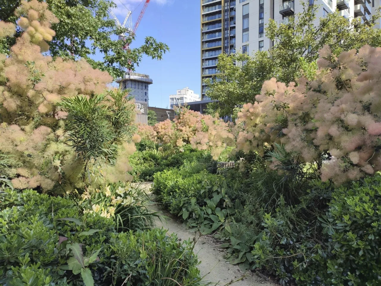 Vibrant planting at Elephant Park