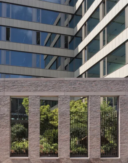 11 Belgrave Road's a punctuated façade frames views of the courtyard garden, extending the landscape into the streetscape