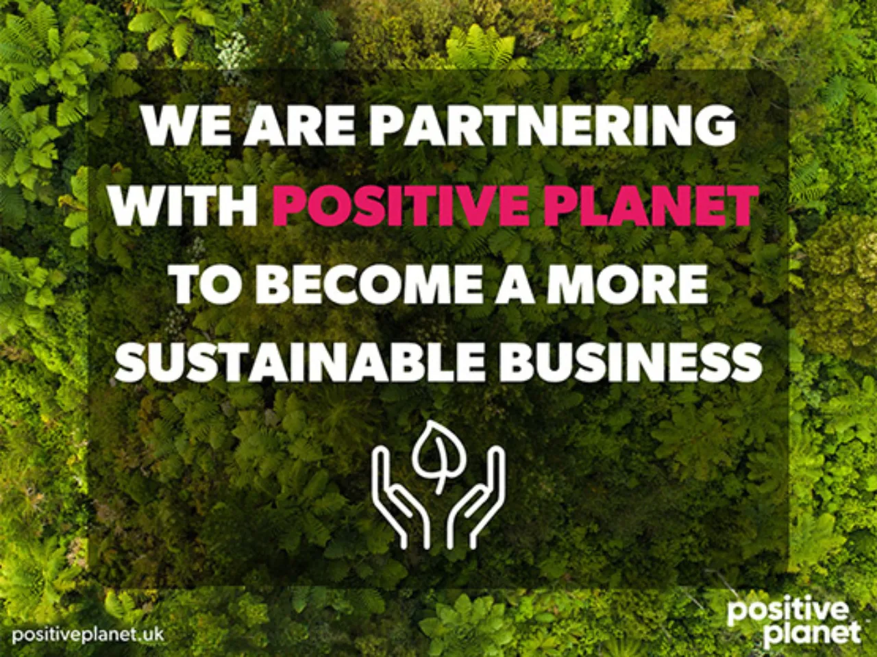 We are partnering with Positive Planet to become a more sustainable business