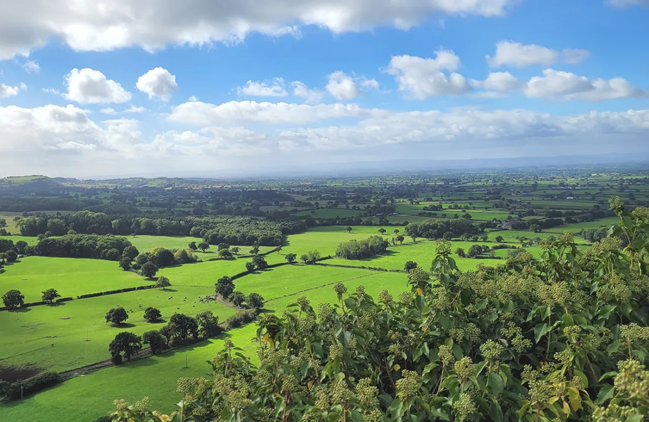 Panoramic view of Sandstone Ridge in Cheshire