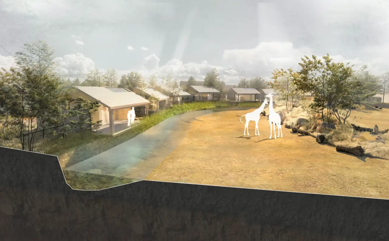 Plans approved for 51 safari-style luxury lodges at Chester Zoo, offering an immersive wildlife experience.