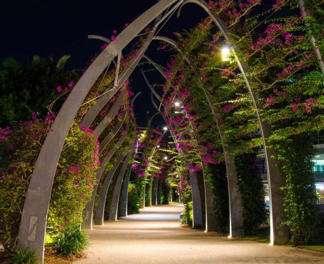 Gillespies part of South Bank masterplan consortium