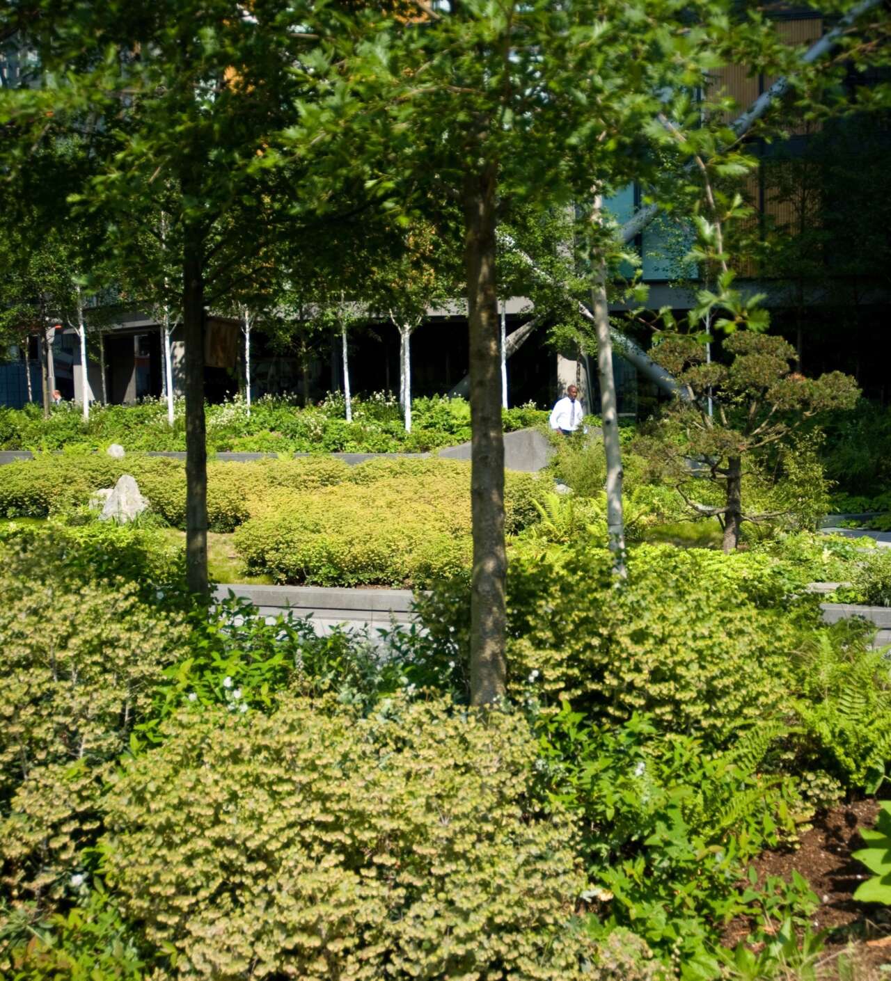 Landscape Institute Awards 2013