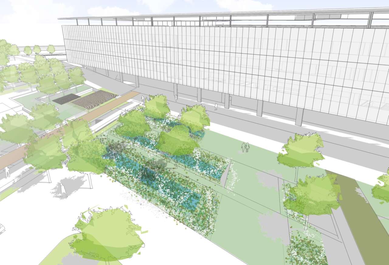 University of Reading’s new 242-hectare campus in Malaysia gets underway
