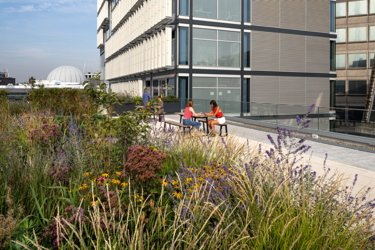 Centre Building at LSE