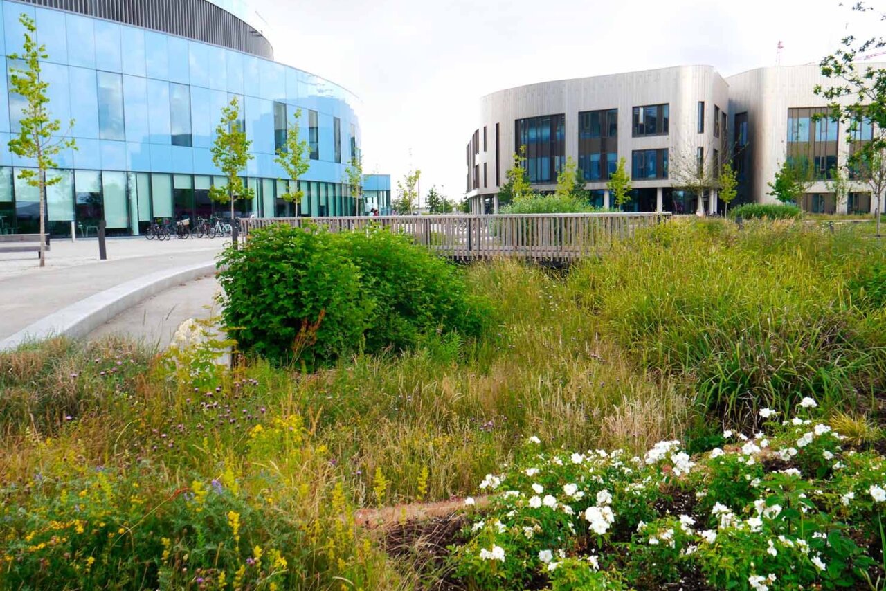 Cambridge Biomedical Campus