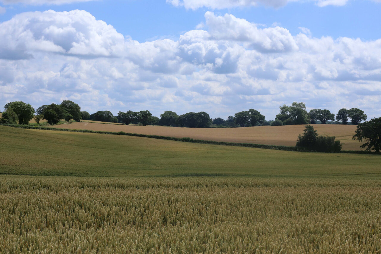 North Shropshire 132k Reinforcement Project