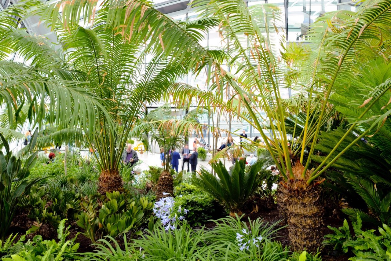 The Sky Garden at 20 Fenchurch Street