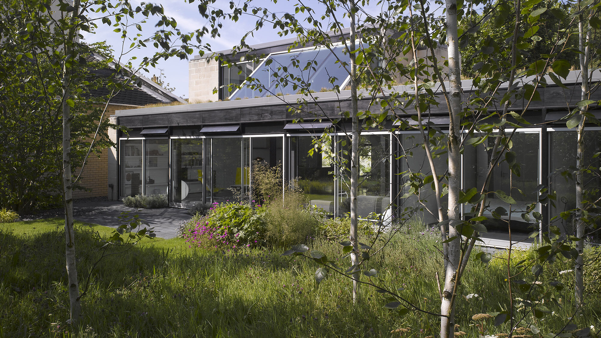Hampstead Lane modern house with glass façade, surrounded by naturalistic garden planting and contemporary landscape architecture.