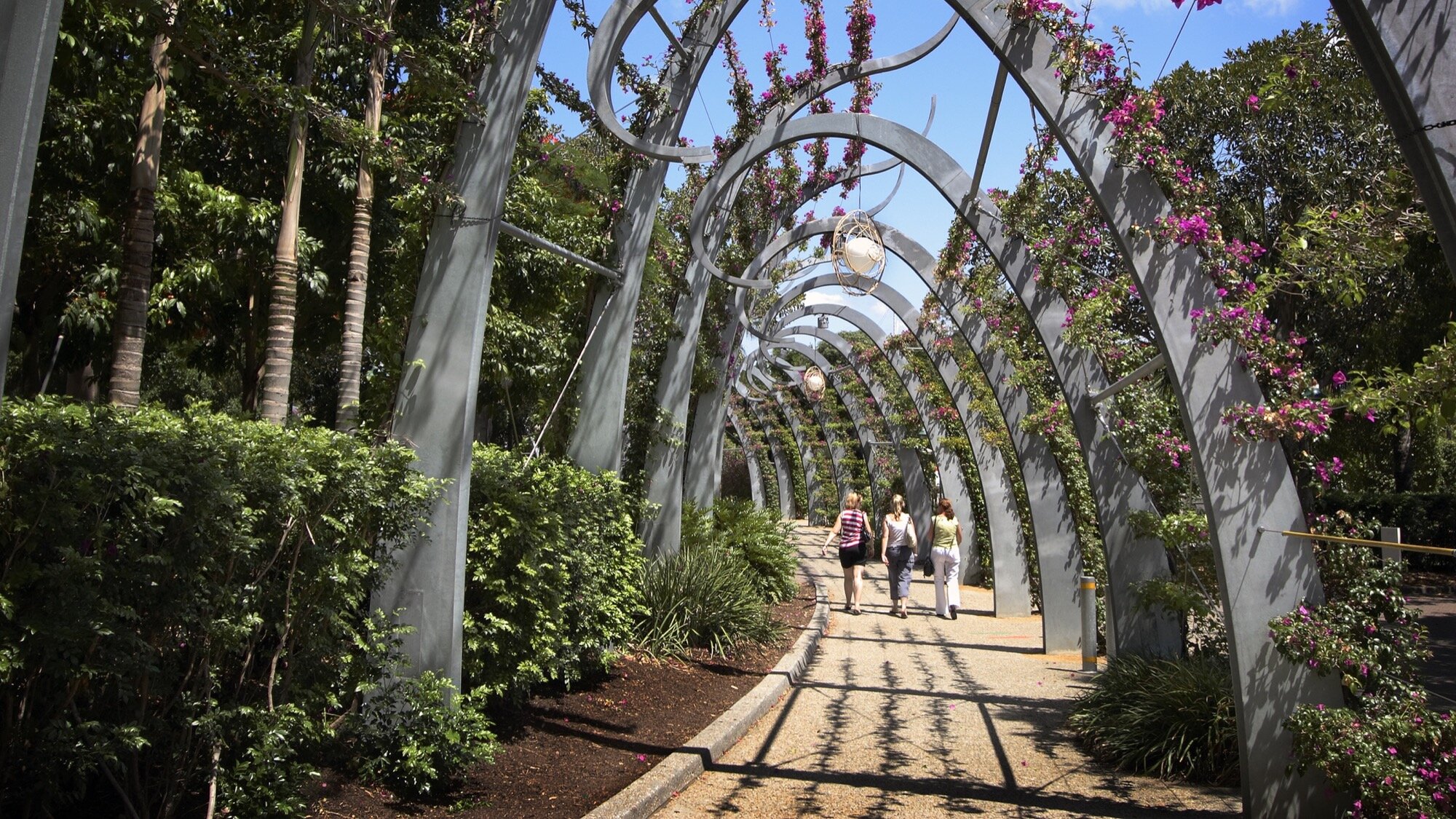 Steel arbor walkway with flowering vines at South Bank Redevelopment, showcasing sustainable urban landscape design and pedestrian-friendly green space.