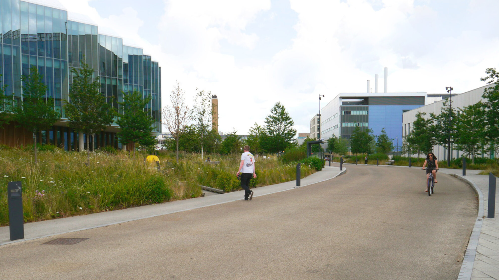 Cambridge Biomedical Campus streetscape with wildflower verge, street trees on main route for pedestrians, cyclists and vehicles in a sustainable landscape. Designed by Gillespies.