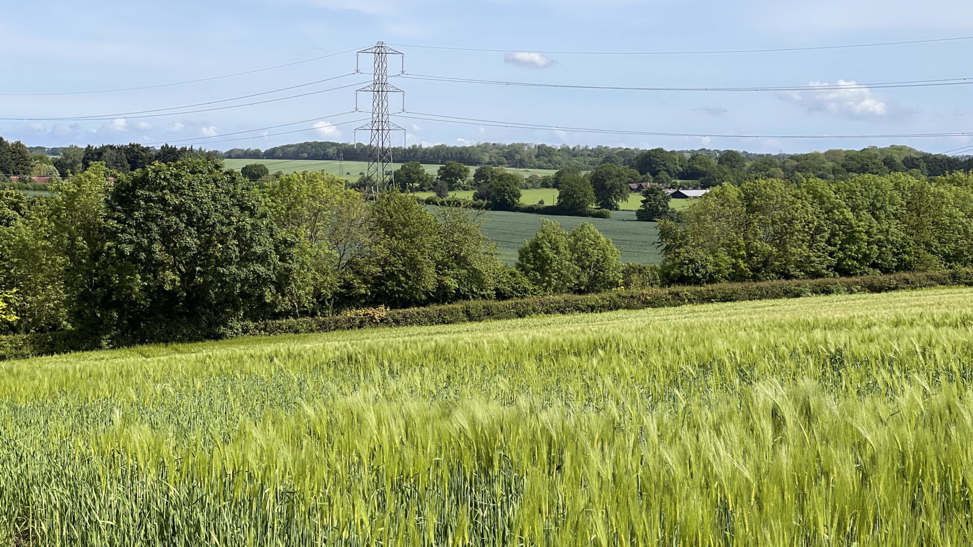 View of green land at East Hemel, which will be transformed into a new community