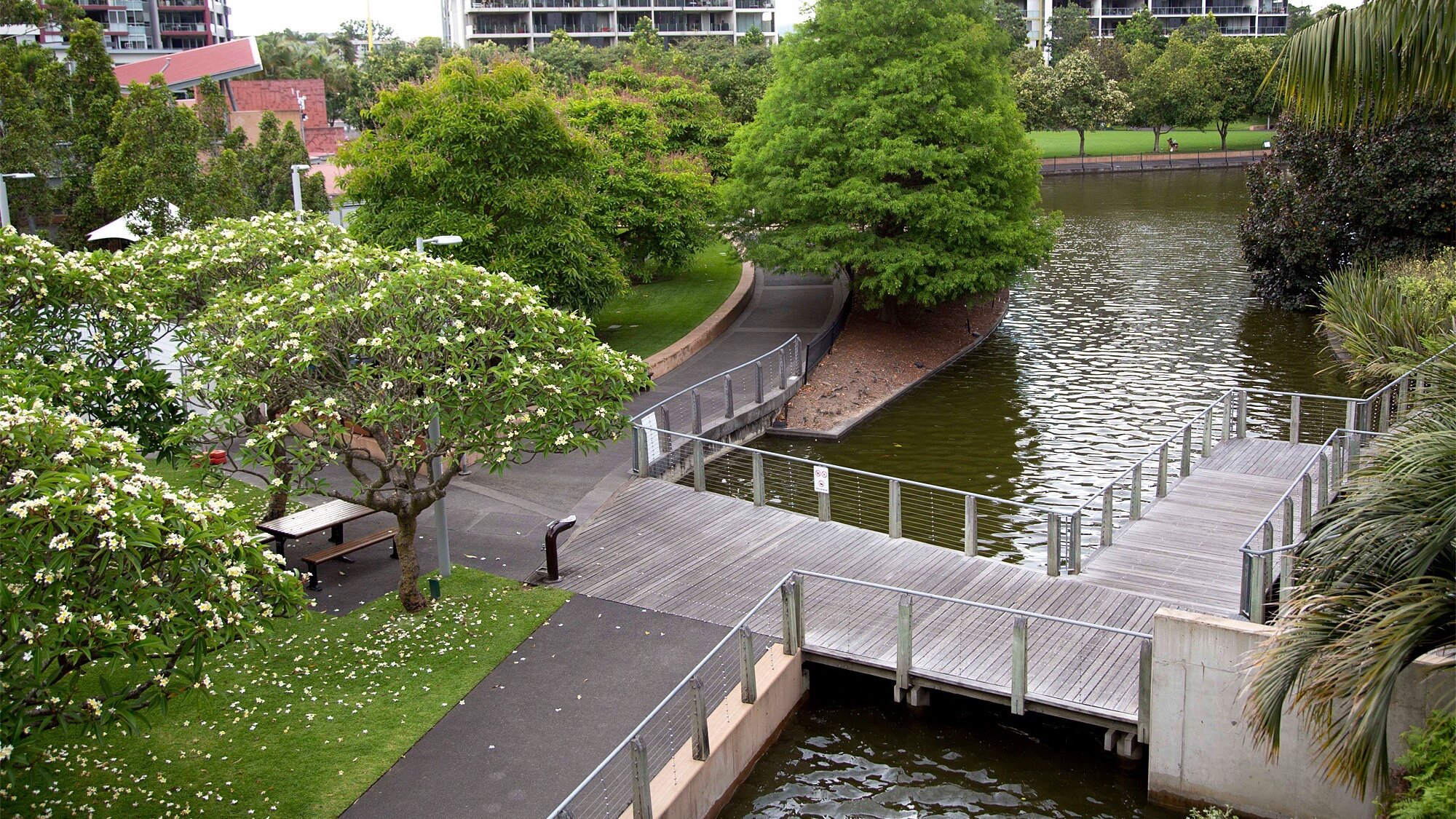 Elevated timber boardwalk and pathways through Roma Street Parkland in Brisbane’s Central Business District landscape architecture.