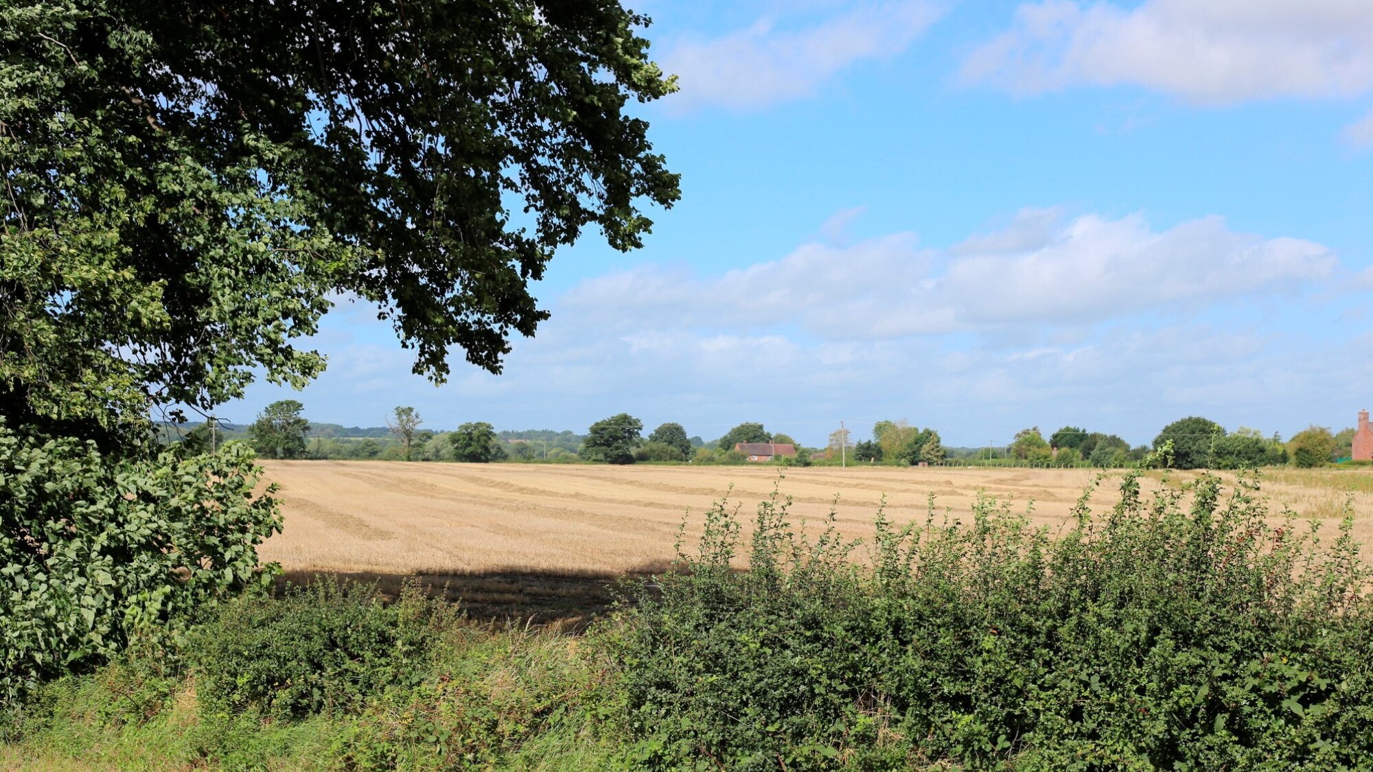 Existing views of fields in Telford and Wrekin