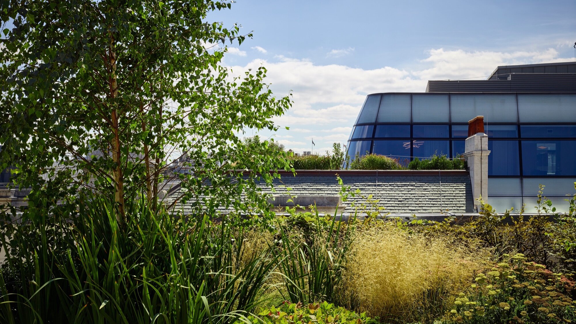 Rooftop garden landscape design at One New Burlington Place with lush planting and sustainable green roof architecture.