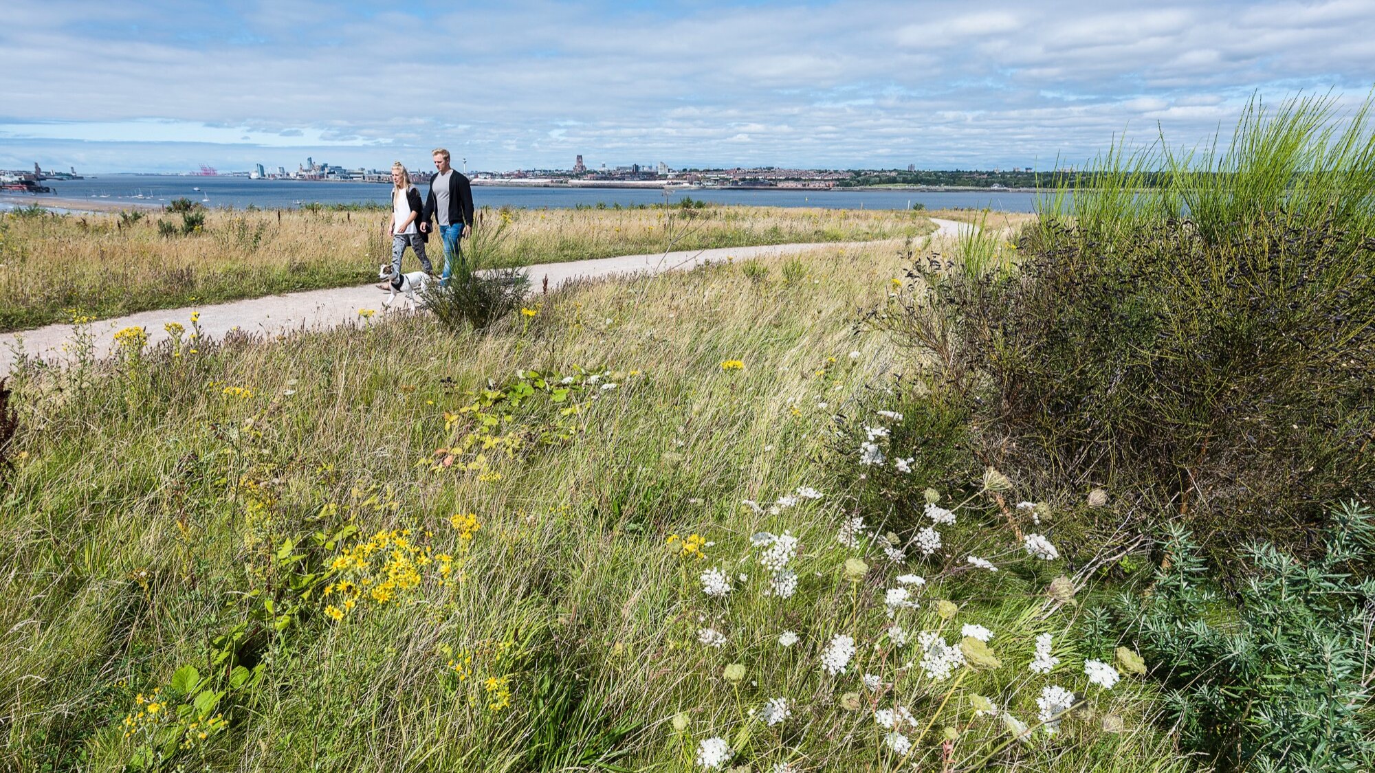 Port Sunlight River Park with wildflower meadows, walking trail, and reclaimed landscape overlooking Liverpool waterfront.