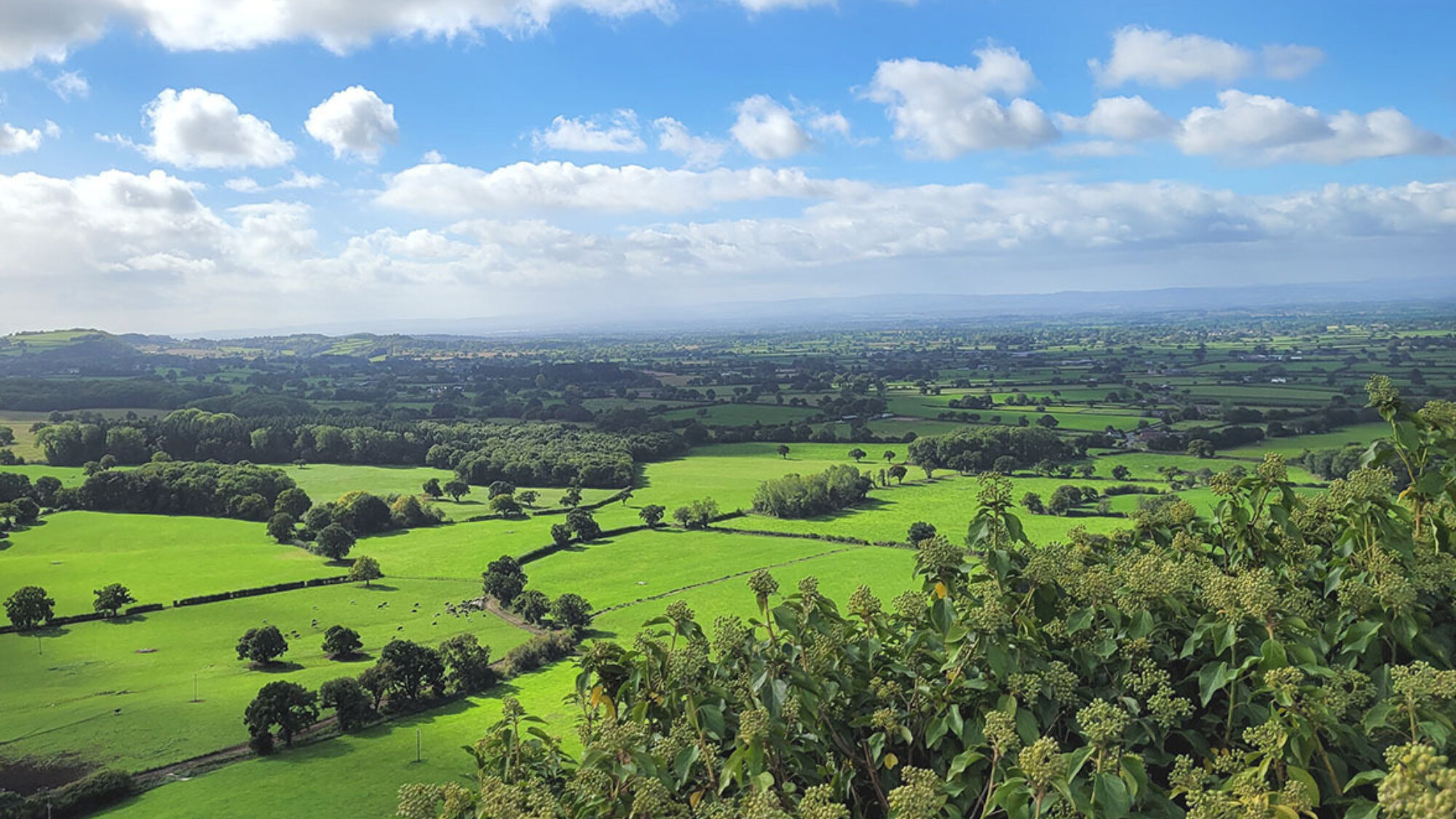 View from Sandstone Ridge Cheshire