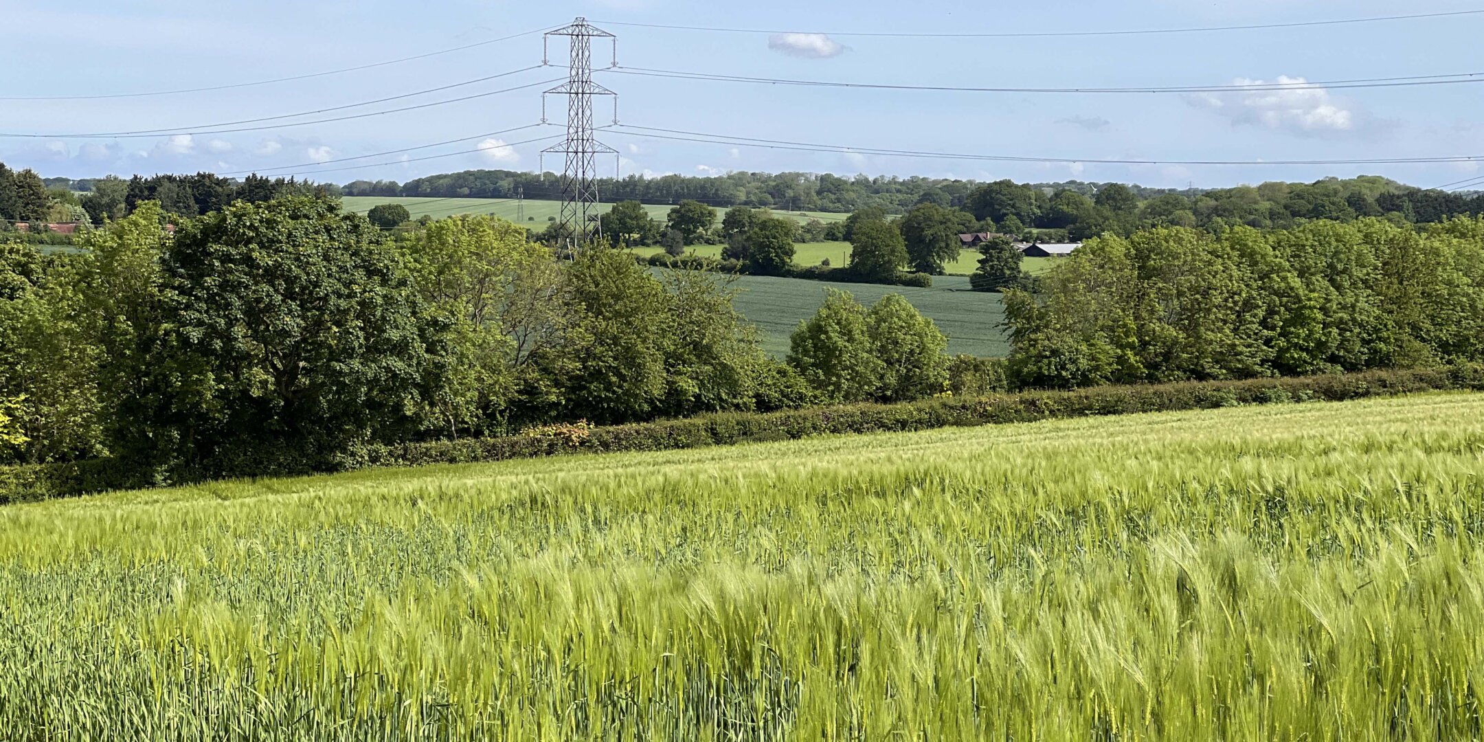 View of green land at East Hemel, which will be transformed into a new community