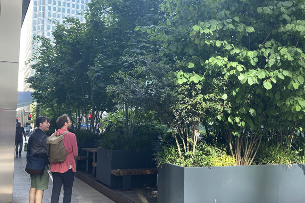 Canary Wharf Greening Phase One