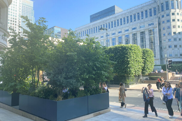 Canary Wharf Greening Phase One