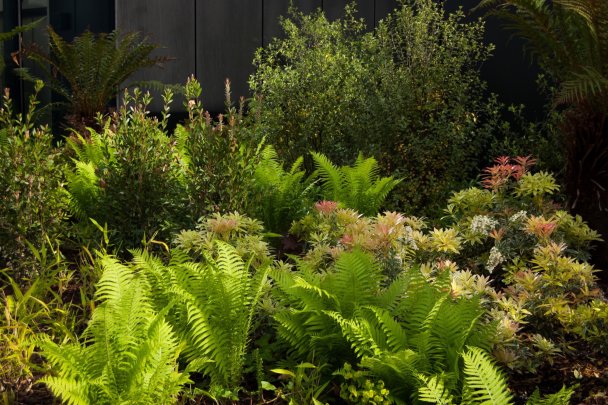 Crossrail Place Roof Garden