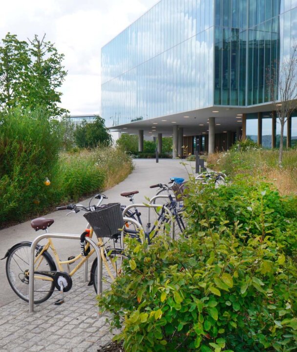 Cambridge Biomedical Campus