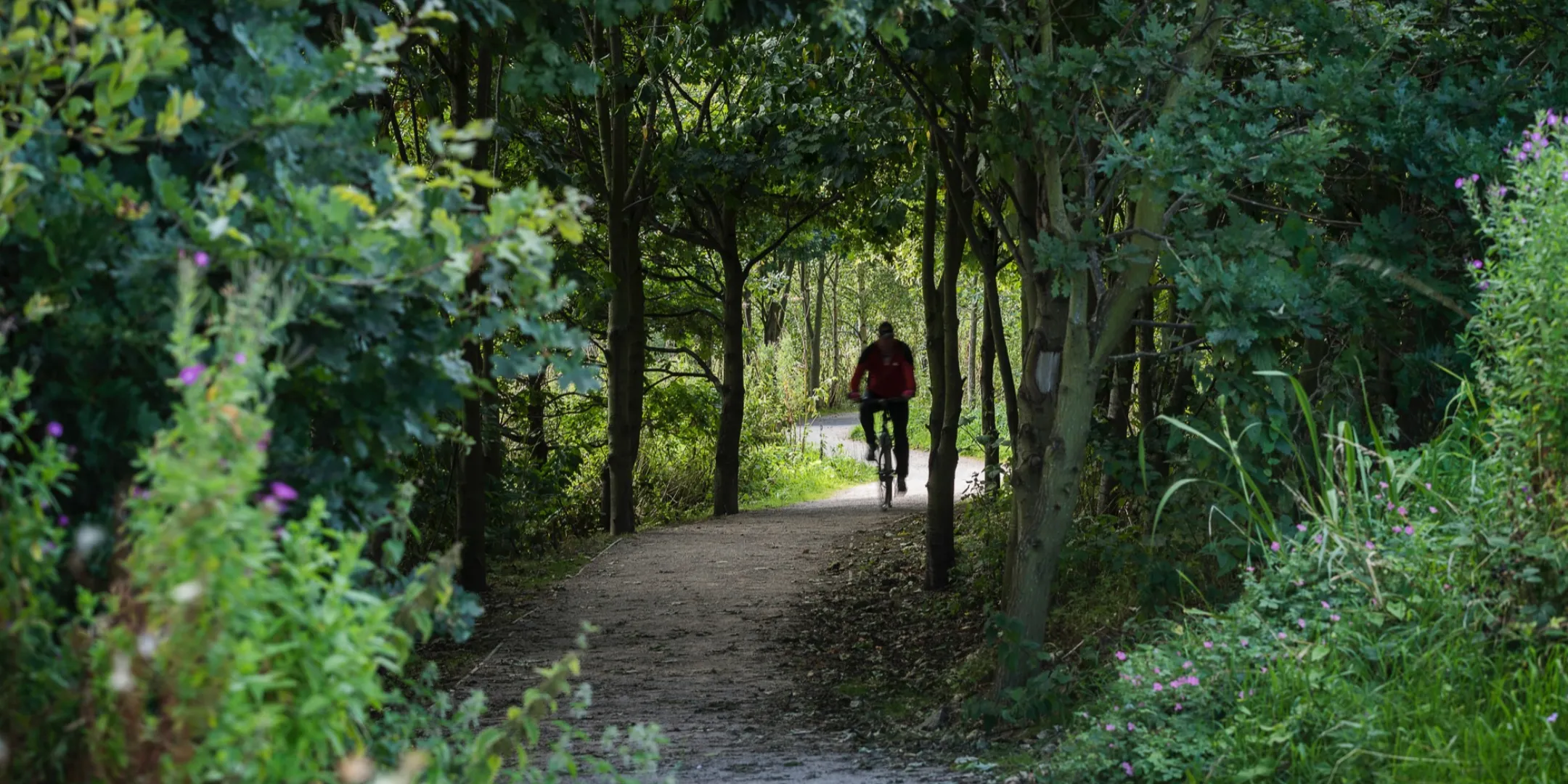 Port Sunlight River Park woodland trail with cyclist, promoting active travel through green infrastructure and naturalistic landscape design.