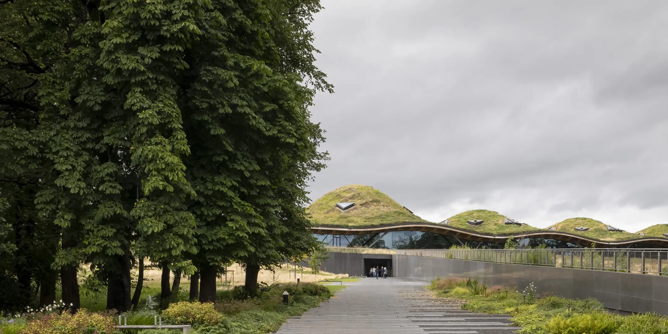 Entrance path to Macallan Distillery with green roof architecture blending into scenic Scottish landscape and surrounding woodland.
