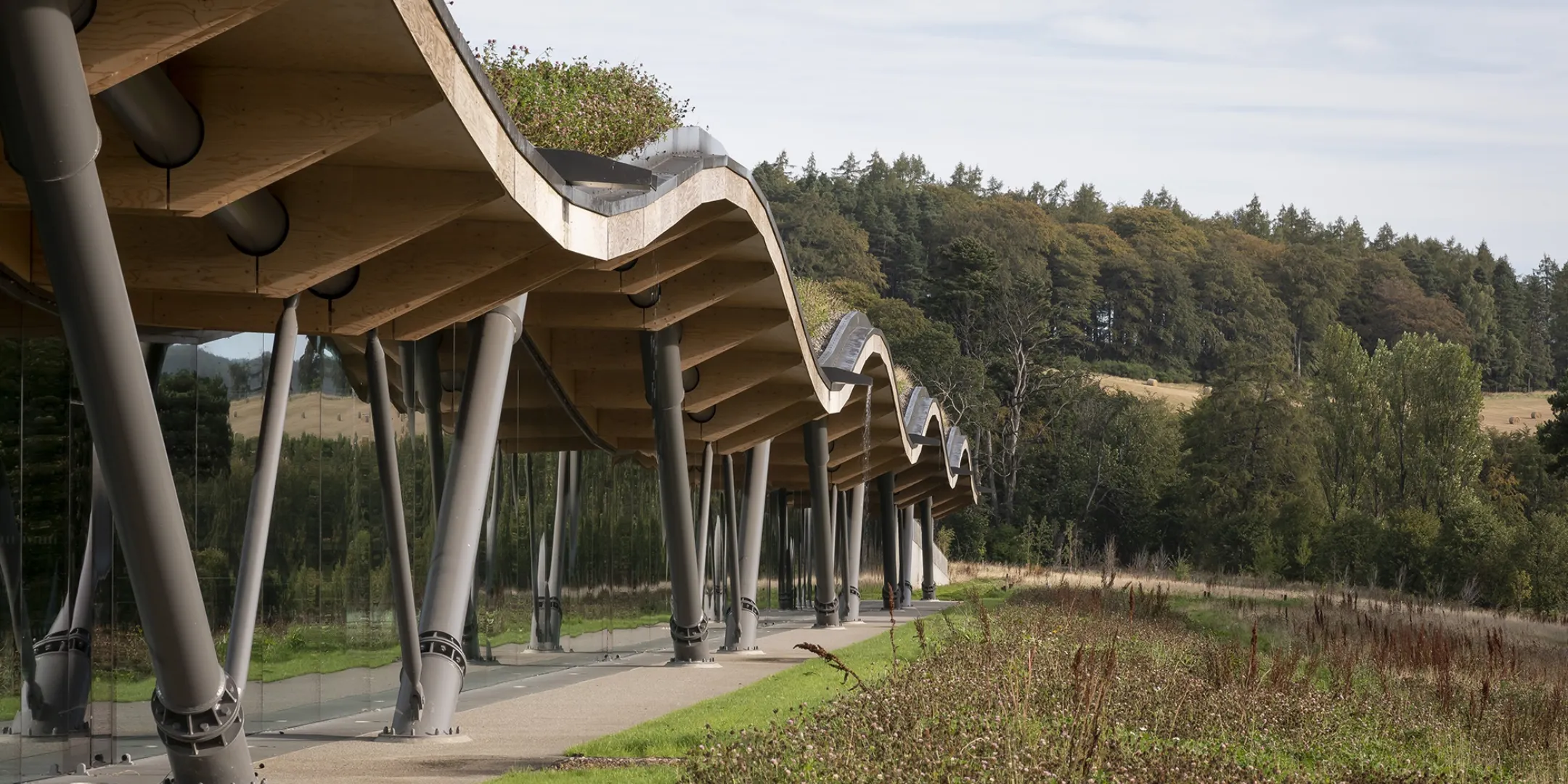 Macallan Distillery undulating timber roof with glass walls blending architecture and landscape in Scottish Highlands.