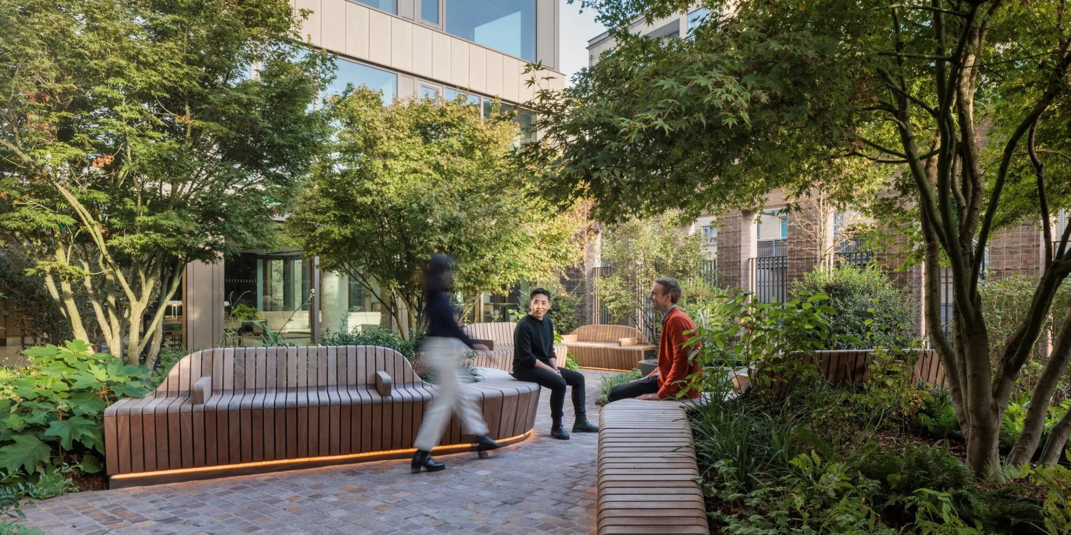 People sitting and walking through a leafy courtyard at 11 Belgrave Road, surrounded by timber seating, mature trees, and layered planting.