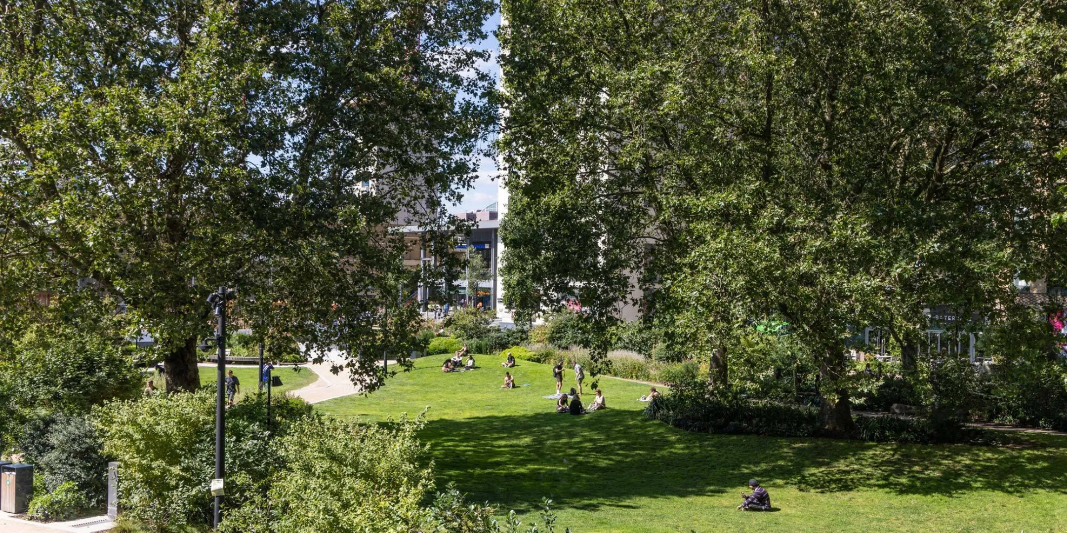 Large mature trees frame an open lawn at Elephant Park, where people relax and gather within a landscaped urban green space surrounded by new development.
