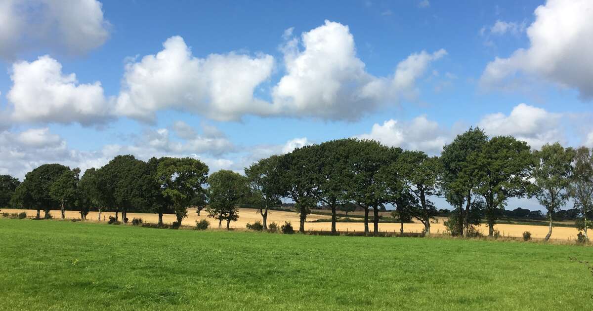 St Cuthbert's Garden Village Projects Gillespies