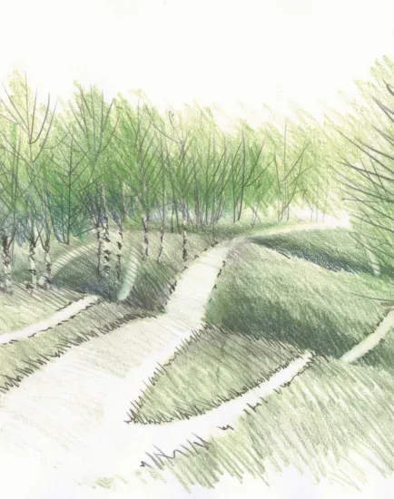 Concept sketch of winding woodland pathways through birch trees at Danfoss Universe, enhancing landscape architecture and visitor experience.
