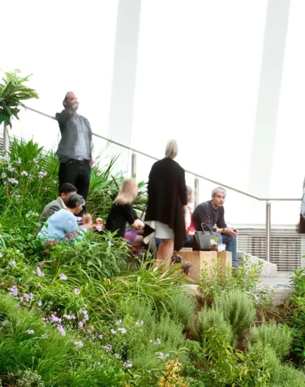 Sky Garden interior with sloped planting, glazed roof, and biophilic design integrating greenery into high-rise architecture.