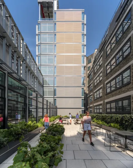 LSE Centre Building elevated internal courtyard roof terrace with urban planting, outdoor seating, and integrated landscape architecture for academic public realm