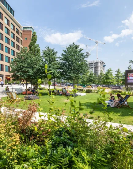 Television Centre landscape with public lawn, seating, planting design, and outdoor screen creating vibrant urban green space.