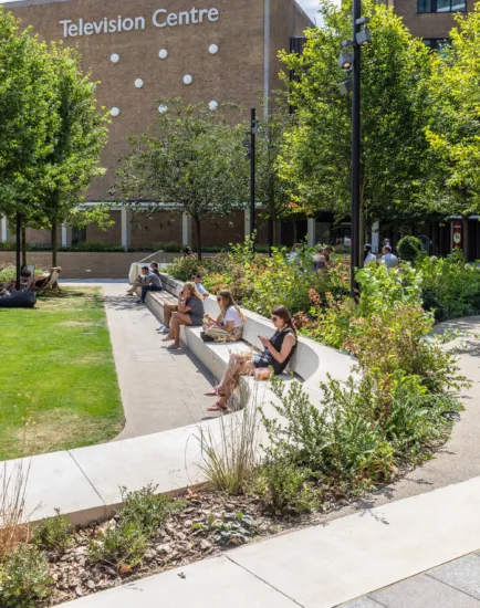 Television Centre landscape design with curved seating, planting beds, trees, and public green space for relaxation.