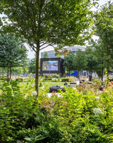 Vibrant urban garden at Television Centre featuring diverse planting, seating and a large outdoor screen.