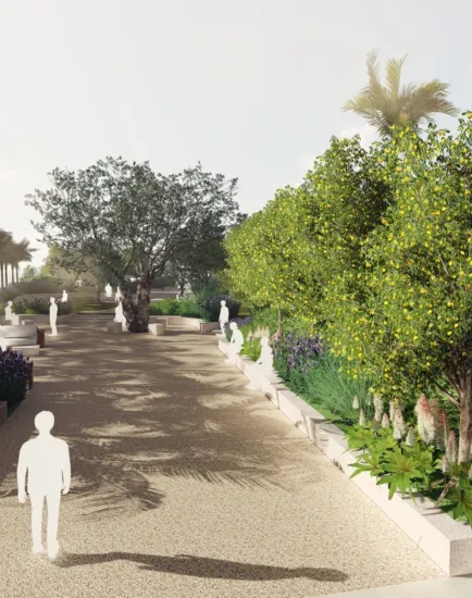 Mediterranean courtyard promenade with mature olive trees, citrus planting and layered shrubs framing a shaded pedestrian walkway.