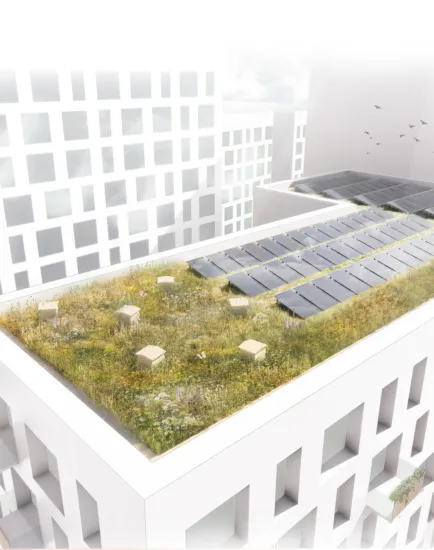 Green roofs to improve biodiversity