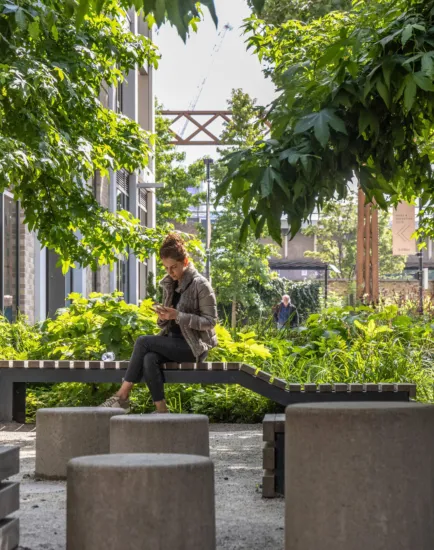Prince of Wales Drive public realm with shaded seating, mature trees, and biodiverse planting illustrating high quality urban landscape architecture.