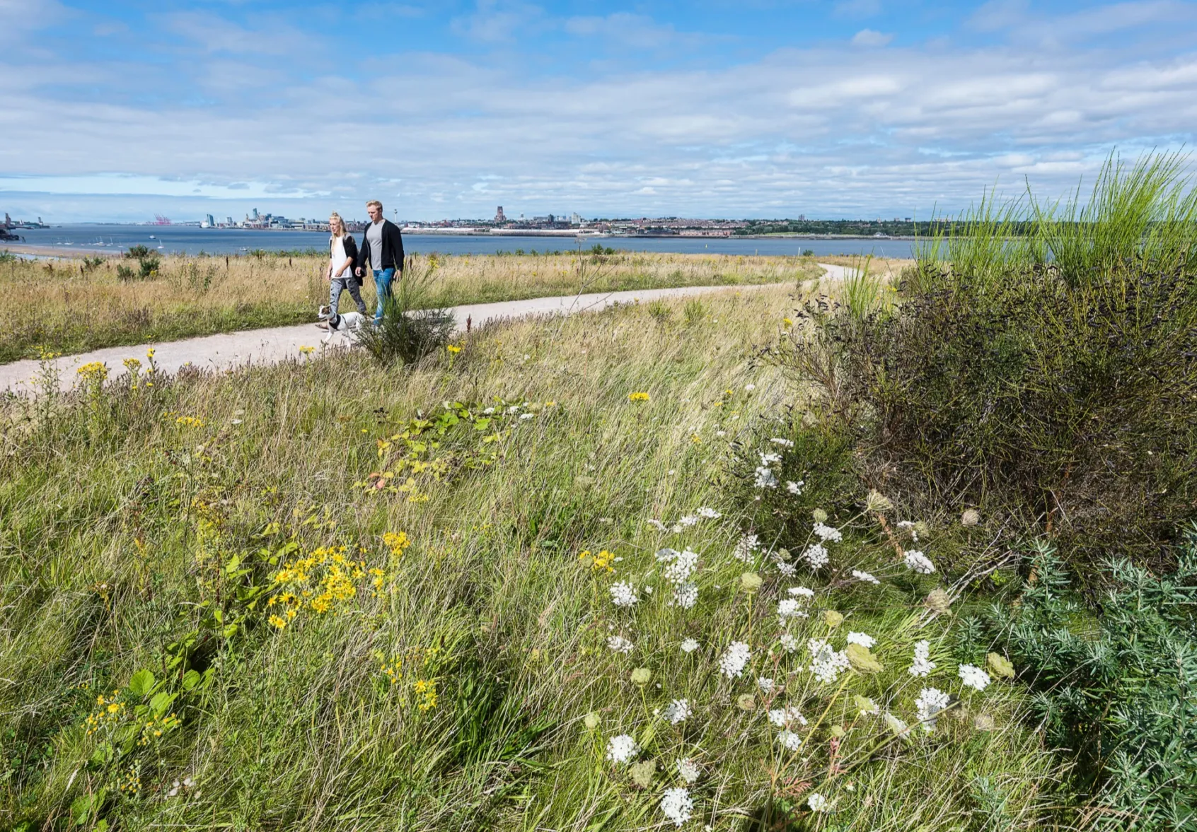 Port Sunlight River Park with wildflower meadows, walking trail, and reclaimed landscape overlooking Liverpool waterfront.