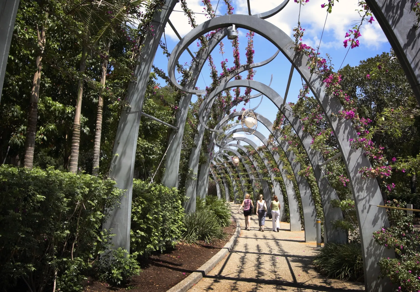 Steel arbor walkway with flowering vines at South Bank Redevelopment, showcasing sustainable urban landscape design and pedestrian-friendly green space.