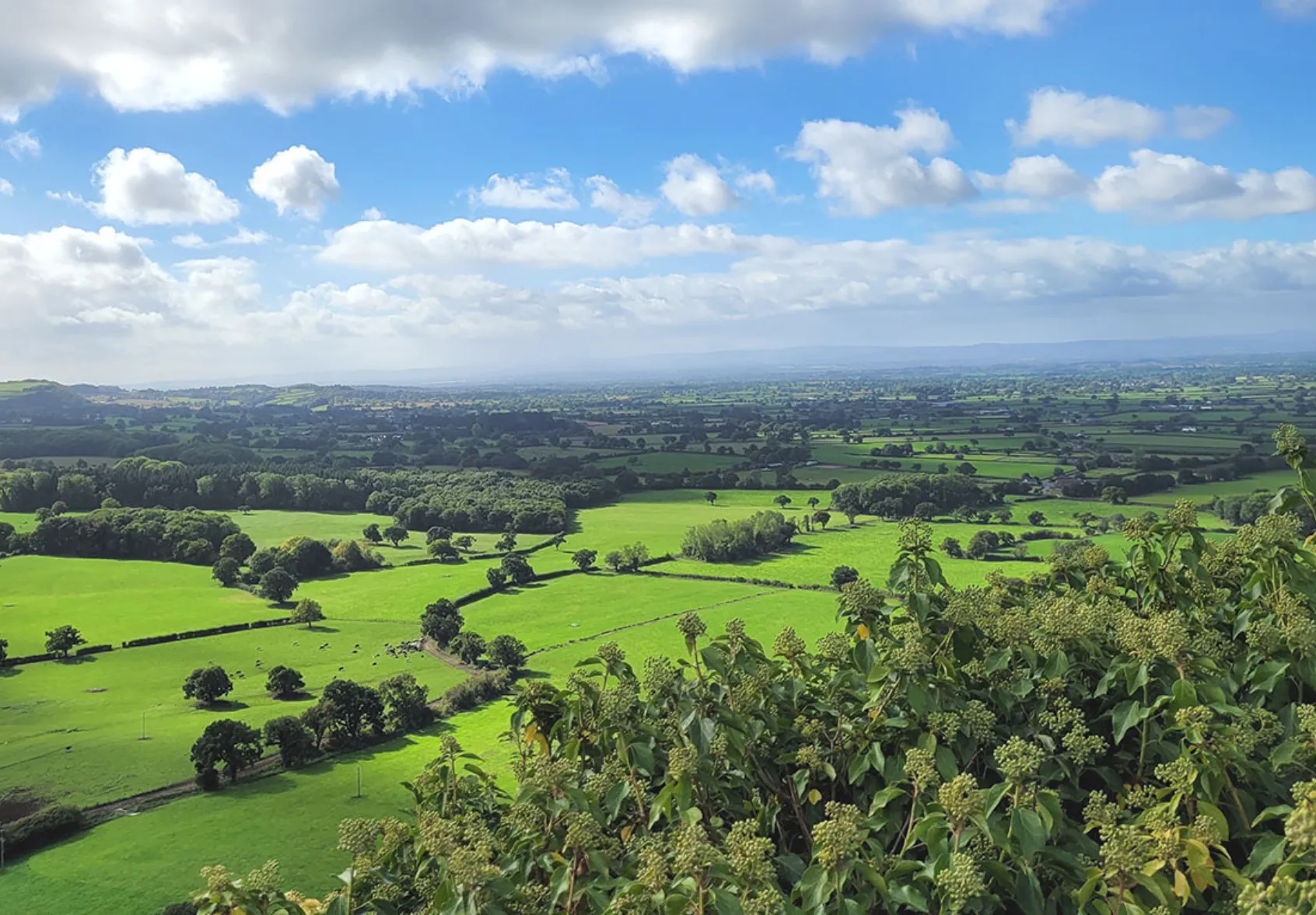 View from Sandstone Ridge Cheshire