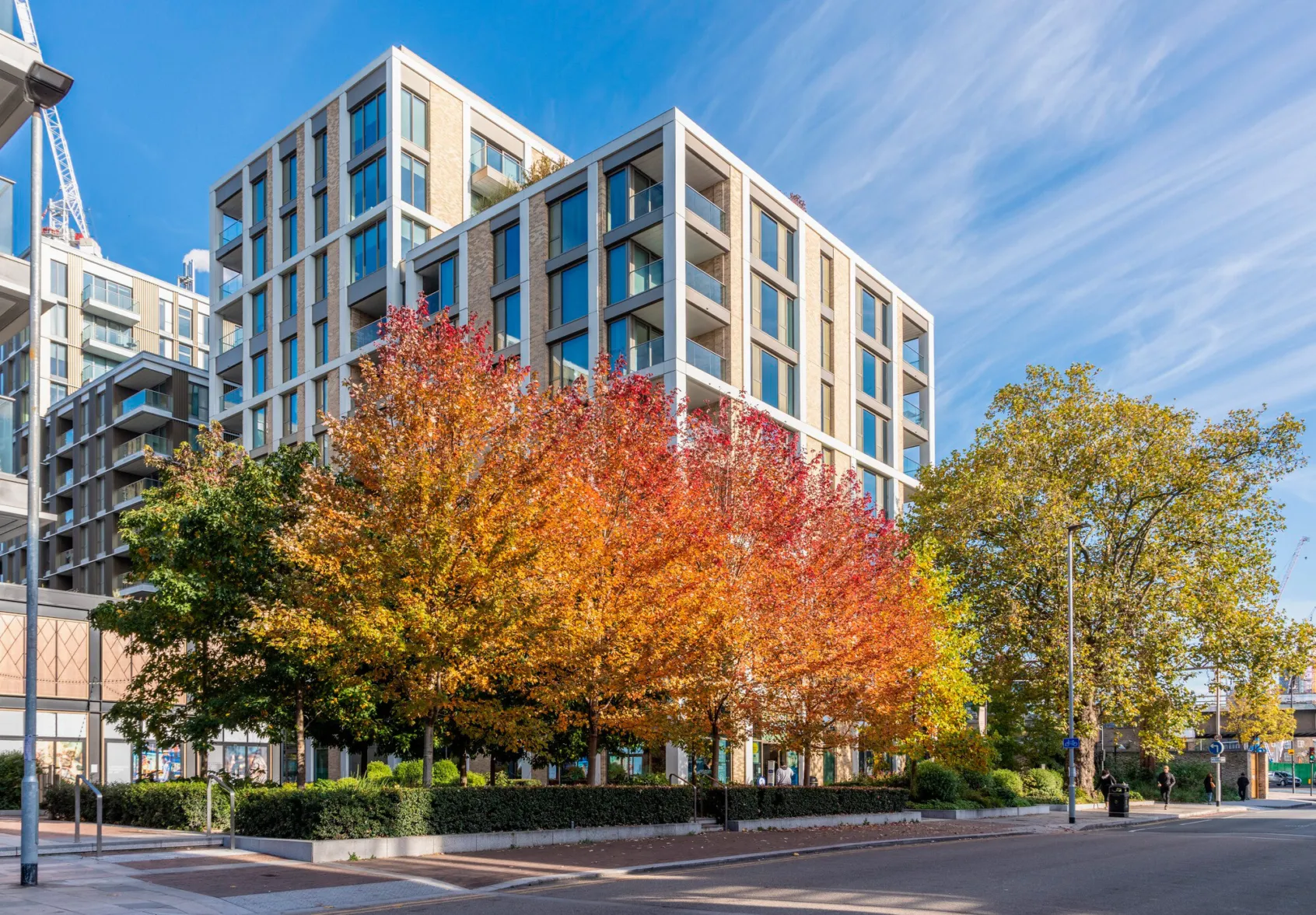 PPrince of Wales Drive streetscape with autumn trees, residential buildings, and integrated urban landscape architecture and public realm planting