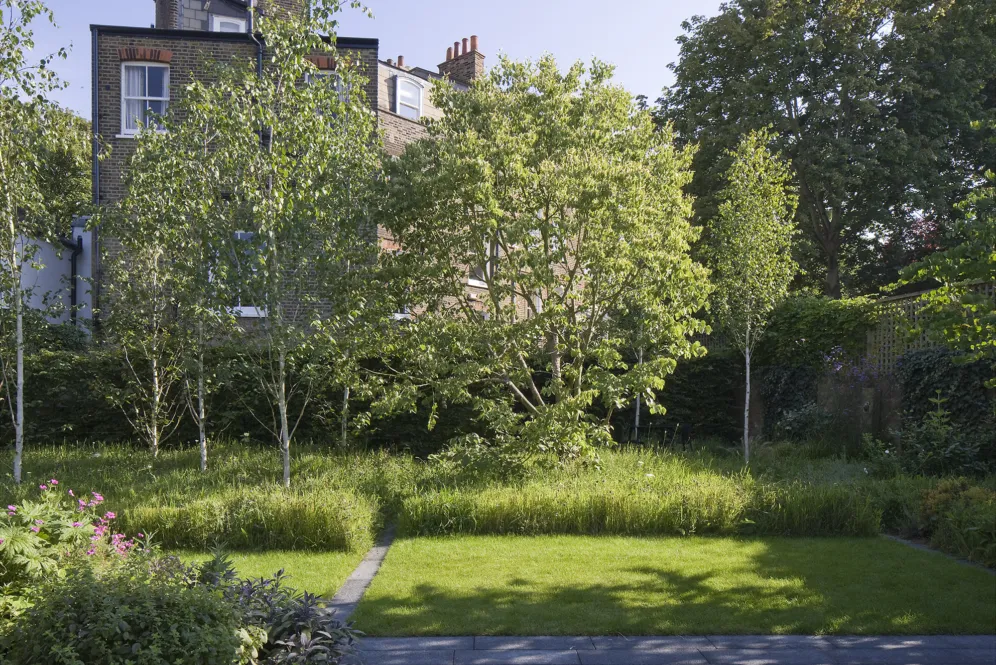 Hampstead Lane garden with structured lawn, mature trees, and layered planting enhancing urban residential landscape design.