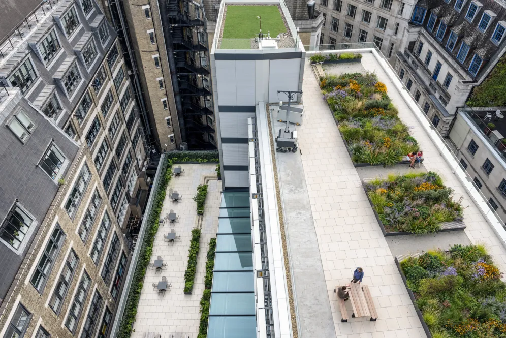 LSE Centre Building levels 12 and 13 rooftop terraces and green roof, with biodiverse planting, outdoor seating, and sustainable urban landscape architecture design by Gillespies.