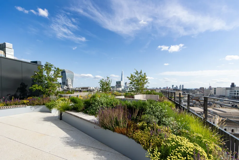 Woolgate Roof & Skyline