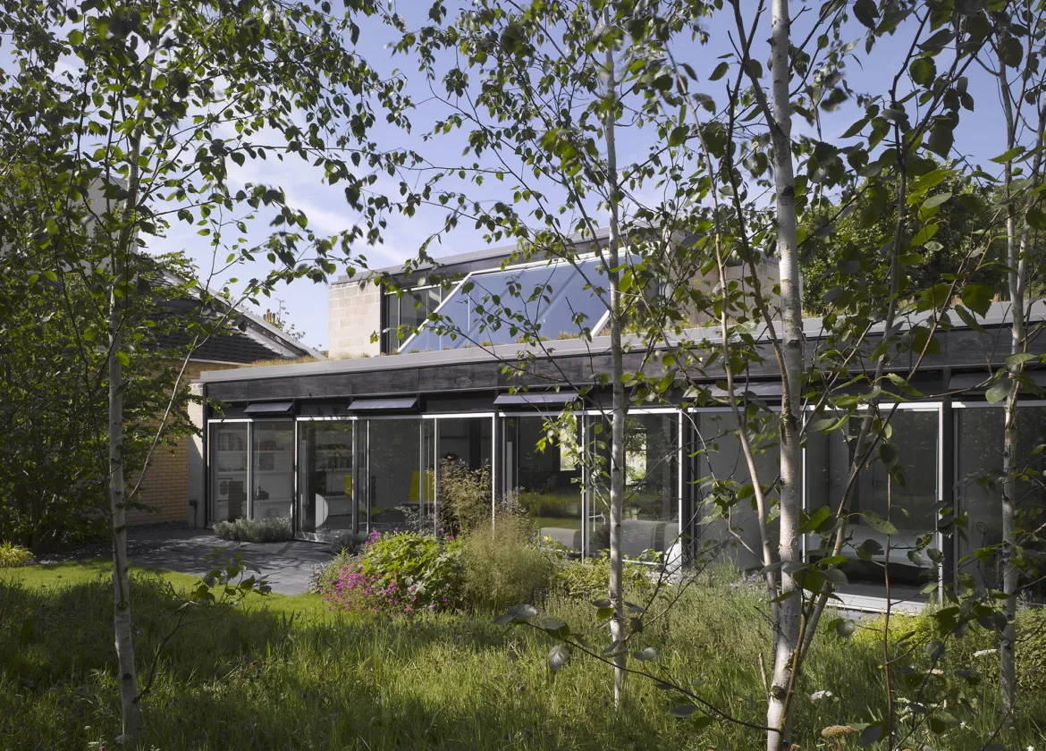 Hampstead Lane modern house with glass façade, surrounded by naturalistic garden planting and contemporary landscape architecture.
